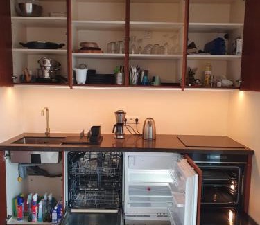 Oberursel Apartment | Apartment Frankfurt City View - Oberursel