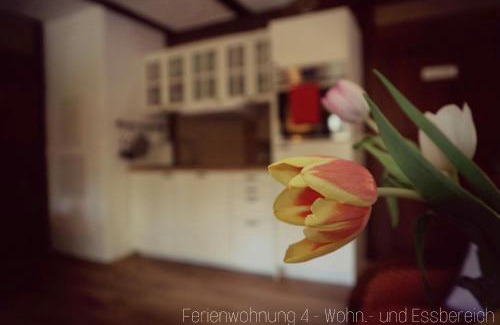 Oberzug Apartment | Apartment Grubenhaus20