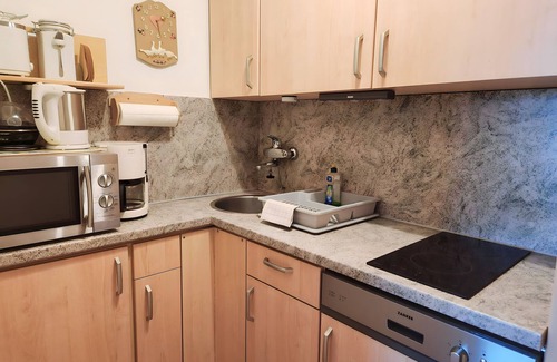 Geyersberg Apartment | Apartment Ignaz with wellness area
