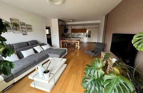 Plzen Apartment | Apartment in historical center with park view