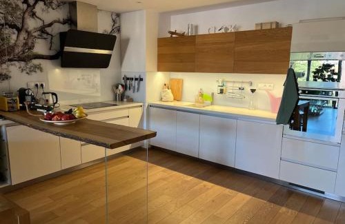 Plzen Apartment | Apartment in historical center with park view