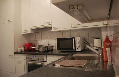 Mattenhof-Weissenbuhl Apartment | Apartment In Loriplatz