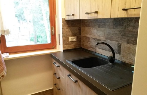 Bardonecchia Apartment | Apartment in pine forest 200 meters from the ski slopes !