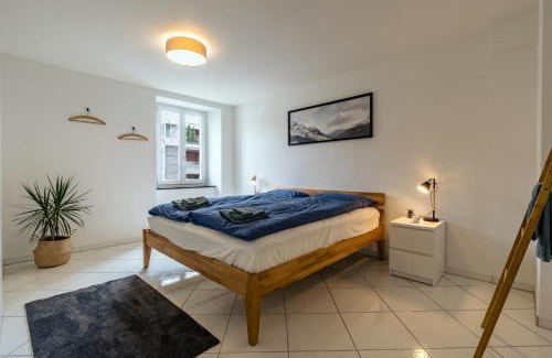 Biel Apartment | Apartment in the city center with free parking