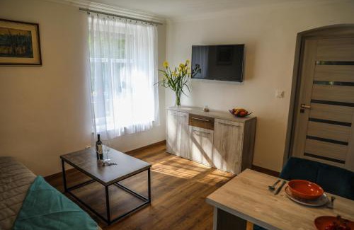 Karlovy Vary Apartment | Apartment Irma