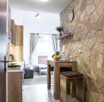 Tatranska Lomnica Apartment | Apartment Jelena1