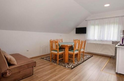 Seliste Dreznicko Apartment | Apartment Josipa- Two-Bedroom Apartment