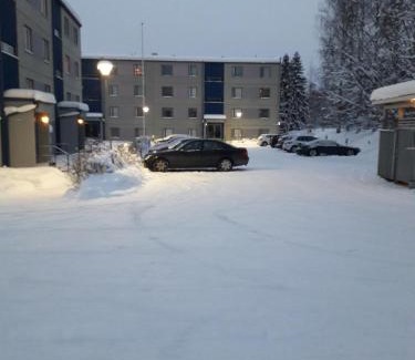 Jyvaskyla Apartment | Apartment Kivistö, 2 km from centrum, free wifi and parking, no smoking, allergenes