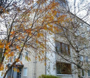 Maenttae-Vilppula Apartment | Apartment Kukkarokivenkatu