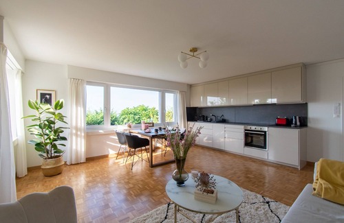 Goldach Apartment | Apartment Lake Constance panorama