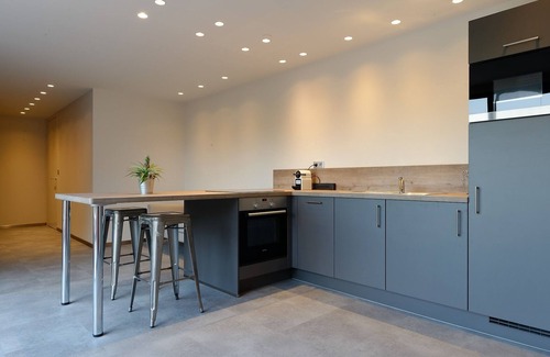 Ribeauville Apartment | Apartment-Luxury-Ensuite with Shower-Mountain view