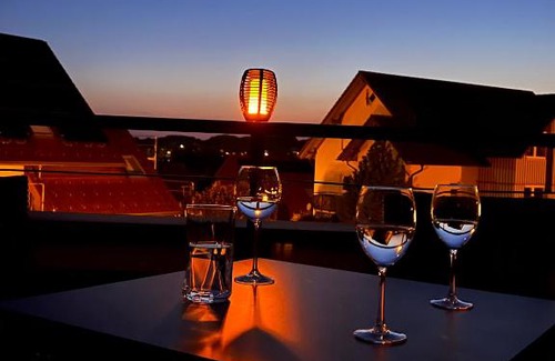 Wangen im Allgaeu House | Apartment mit Dachterrasse & Sauna