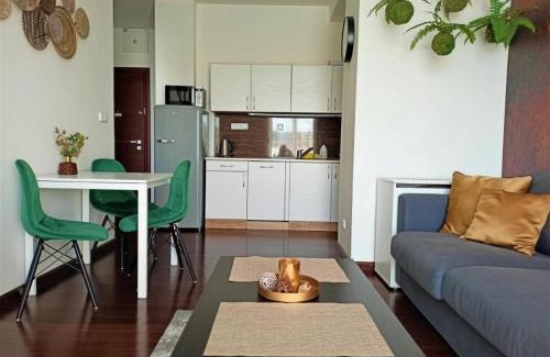 Karlovy Vary Apartment | Apartment Moser 1303
