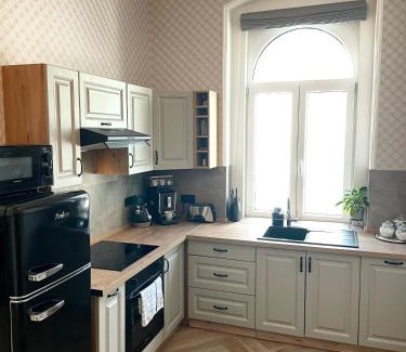 Karlovy Vary Apartment | Apartment Nicol