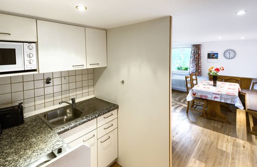 Grafenhausen Apartment | Apartment 'Nr 5 50 Qm' with Mountain View, Shared Garden and Wi-Fi