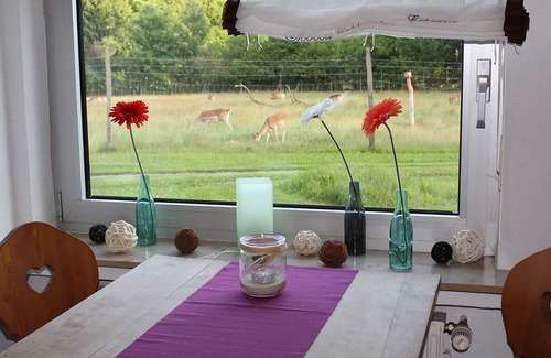 Brachthausen Apartment | Apartment number 1, 50sqm, terrace, 1 bedroom, max. 4 people (2 adults)