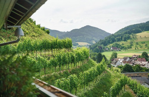 Glottertal Apartment | Apartment 'Panoramazimmer 11' with Mountain View, Shared Terrace and Wi-Fi