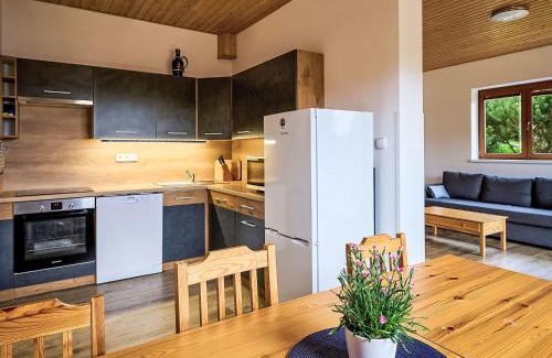 Nova Ves nad Nisou Apartment | Apartment Pod Černou Studnicí-3 by Interhome