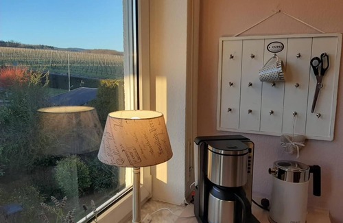 Johannisberg Apartment | Apartment 'Rheingauer Rosengasse' with Balcony and Wi-Fi