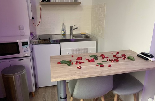 Paroisse Notre-Dame Apartment | Apartment Sauna & Spa - Nahleo Scandinave