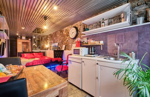 Quartier Hyper-Centre Apartment | Apartment 'Sweet Loft Grenoble' with Wi-Fi and Air Conditioning