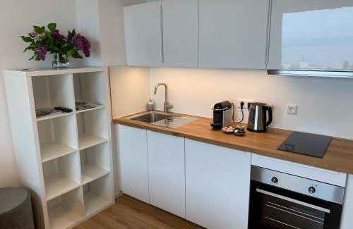 Immenstaad am Bodensee Apartment | Apartment TraumSeeblick Immenstaad