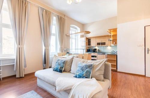 Karlovy Vary Apartment | Apartment Termal