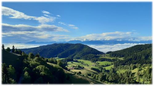 Sankt Urban Apartment | Apartment THE VIEW