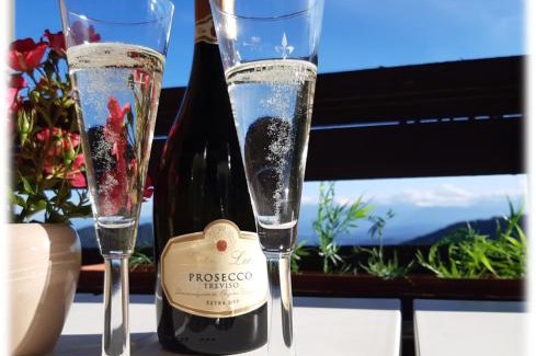 Sankt Urban Apartment | Apartment THE VIEW