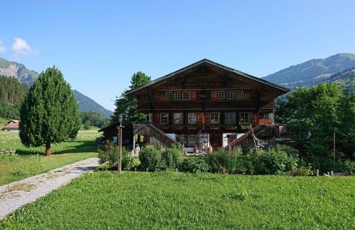 Lenk Apartment | Apartment Trachsel-Huus by Interhome