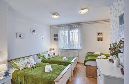 Karlovy Vary Apartment | Apartment U Medvídka