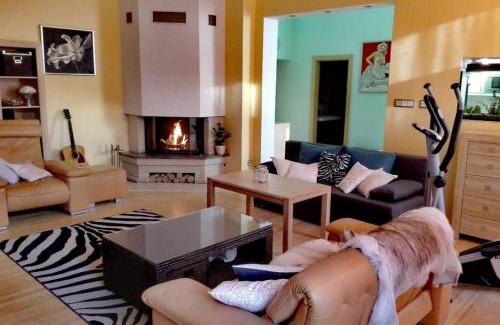 Marianske Lazne Apartment | Apartment Villa Frank