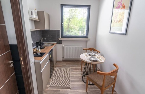 Willroth Apartment | Apartment with 1 bedroom (NR.9) - Colakation GmbH