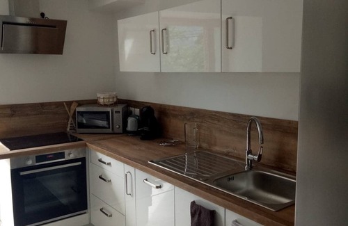 Viuz-en-Sallaz Apartment | Apartment with garden and spa in farmhouse