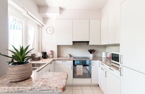Viganello Apartment | Apartment with large terrace a stone's throw from Lugano (Agave Apartment)