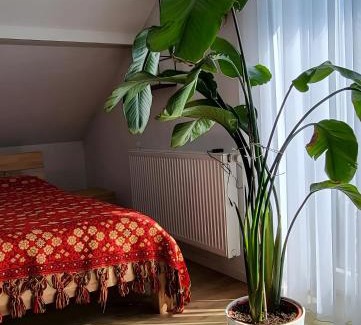 Sulz am Neckar Apartment | Apartment Zum Wohlfühlen