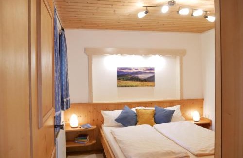 Kirchberg in Tirol Apartment | Apartmenthaus Thussn, cozy & quiet location, hiking & MTB,