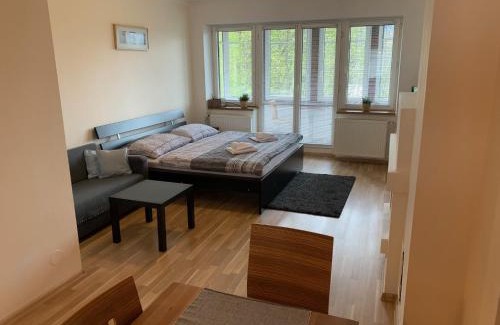 Spindleruv Mlyn Apartment | Apartments Monika
