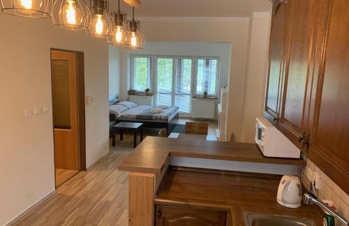 Spindleruv Mlyn Apartment | Apartments Monika