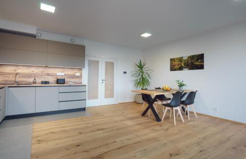 Brno Apartment | Apartments Poděbradova Premium