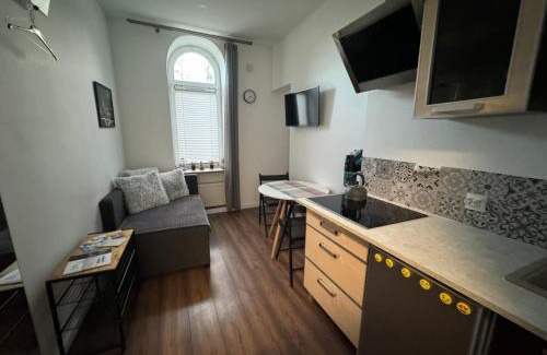 Tarnowskie Gory Apartment | ApartmentsByMatyrafa-II