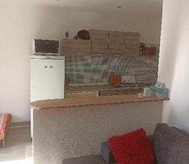 Malenovice Apartment | APP pod borovou