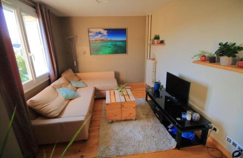 Vandoeuvre-les-Nancy Apartment | Appart calme et lumineux proche Artem et Thermes