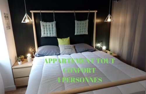 Rive Droite Apartment | Appart Cosy Brest (Les 4 moulins)