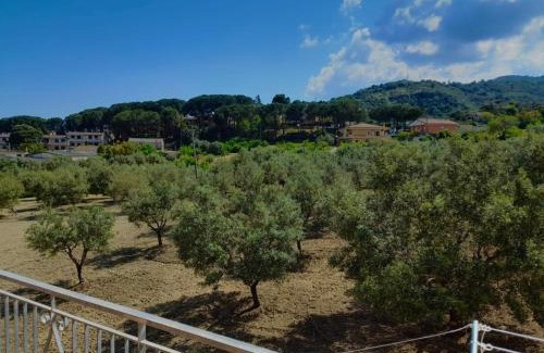 Davoli House | Appartamenti Antico Uliveto