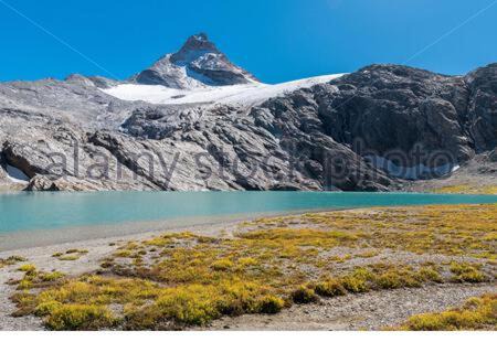 Rhemes-Saint-Georges Apartment | Appartamenti Edelweiss