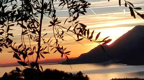 Malcesine Apartment | Appartamenti Tasel with heated Pool