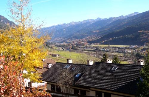 Cavalese Apartment | Appartamento Bellavista