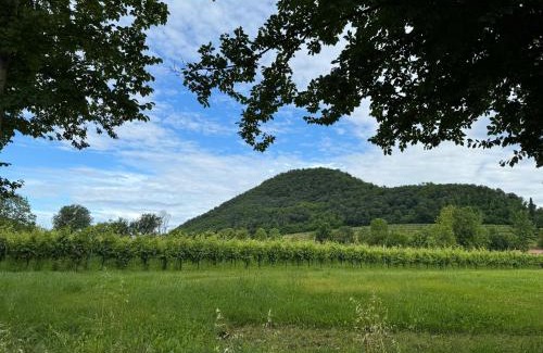 Teolo Apartment | Appartamento casa vacanza Abano Terme Euganean Hills Holiday