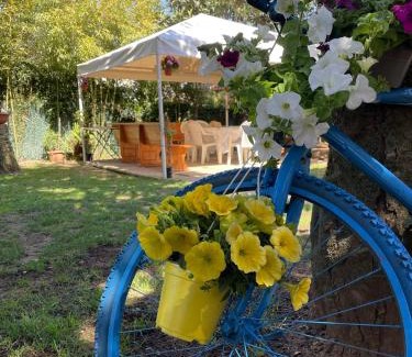 Bella Farnia Apartment | Appartamento in Villa con giardino vicino al mare